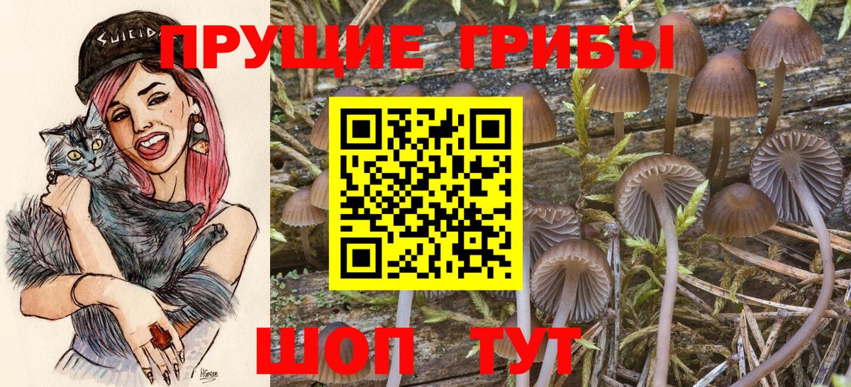 Галлюциногенные грибы Psilocybine cubensis  Псилоцибиновые грибы Psilocybe  Мирный  Вход с VPN 