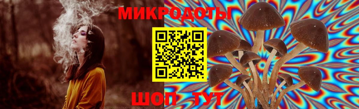 Галлюциногенные грибы мухоморы Мирный